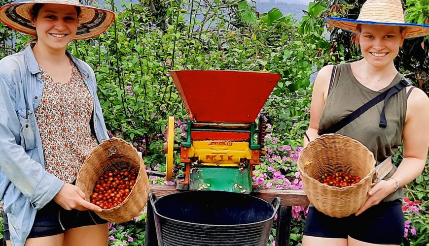 Tour Cafetero - Coffee Farm Jardin Antioquia
