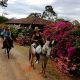 planes de tours a caballo en Jardín Antioquia