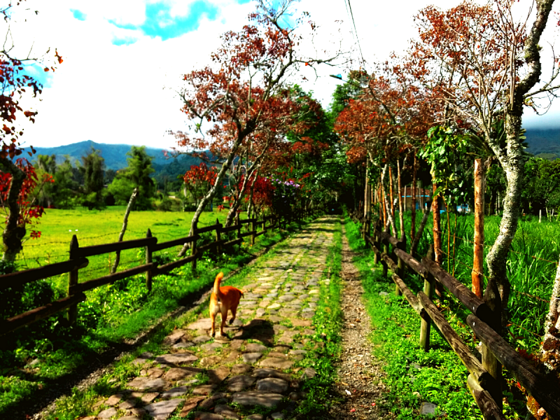 Tour de senderos de Jardín Antioquia